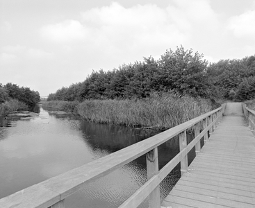 884298 Gezicht over een bruggetje in het Beatrixpark te Utrecht.
